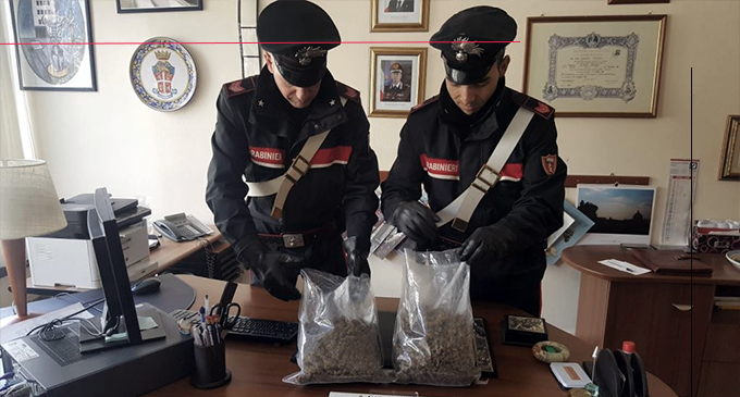 MESSINA – Nascondevano marijuana nel giardinetto antistante l’abitazione con a guardia un cane ”CORSO” di grossa taglia. Arrestata coppia di 21enni