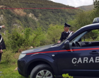 SAPONARA – Incendio boschivo. Condannati a 3 anni e a 2 anni e 8 mesi i due piromani di Basicò e Falcone arrestati lo scorso 5 aprile.