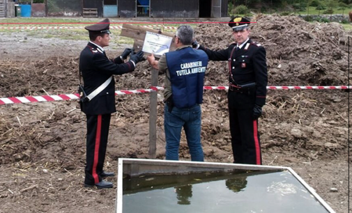 MISTRETTA – Sequestrati 6 quintali di prodotti lattiero-caseari e un deposito incontrollato di rifiuti. Denunciato 29enne mistrettese