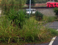 PATTI – Folta vegetazione nel parcheggio di via De Gasperi. Un altro degli emblemi del degrado e del disinteresse