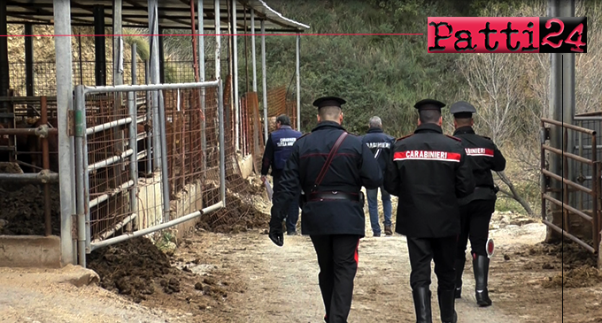 MISTRETTA – 3 deferiti in stato di libertà per reati in materia ambientale. 12.000,00 euro circa di sanzioni per illeciti amministrativi