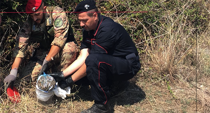 MESSINA – Rinvenuta marijuana in contenitori di vetro, in parte interrati ed in parte nascosti tra i rovi