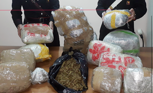 MESSINA – 28 kg di marijuana in casa. 20enne condotta presso la sezione femminile del Carcere di Gazzi