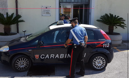 PACE DEL MELA – Coltiva piante di Cannabis nell’Orto. Arrestato 26enne “agricoltore”.