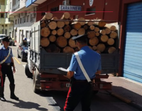 ALCARA LI FUSI – Furto di legname all’interno del Parco dei Nebrodi. Un arresto