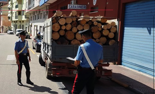 ALCARA LI FUSI – Furto di legname all’interno del Parco dei Nebrodi. Un arresto