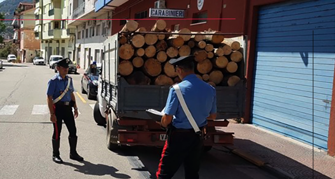 ALCARA LI FUSI – Furto di legname all’interno del Parco dei Nebrodi. Un arresto
