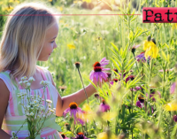 BARCELLONA P.G. – Domani, martedì 23, presentazione del progetto “Adozione nuova carta dei diritti della bambina”