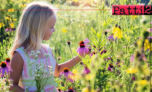 BARCELLONA P.G. – Domani, martedì 23, presentazione del progetto “Adozione nuova carta dei diritti della bambina”