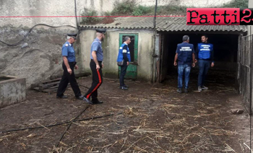 MISTRETTA – Sequestrato circa un quintale di formaggi in cattivo stato di conservazione. Deferiti padre e figlio, titolari di un’azienda zootecnica