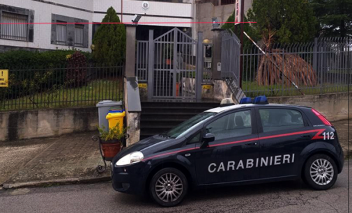 PIRAINO – Arrestato in flagranza di reato 34enne barcellonese, ritenuto responsabile del reato di furto di legna