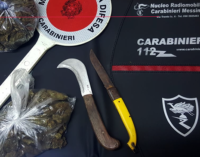 MESSINA – Trovato in possesso di marijuana. Arrestato 25enne barcellonese.