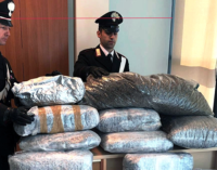 MESSINA – Trasportava 90 Kg di marijuana nel cofano dell’auto. Arrestato 46enne sbarcato dal traghetto.