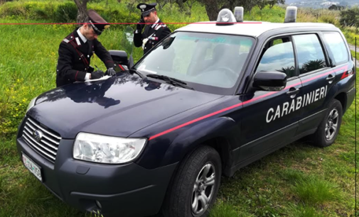 CASTROREALE – Rubano 300 Kg di limoni. 2 arresti.