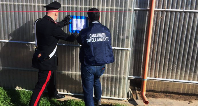 SANTA LUCIA DEL MELA  – Sversamento di liquami e illecito deposito di deiezioni di origine animale. Sequestro presso azienda zootecnica.