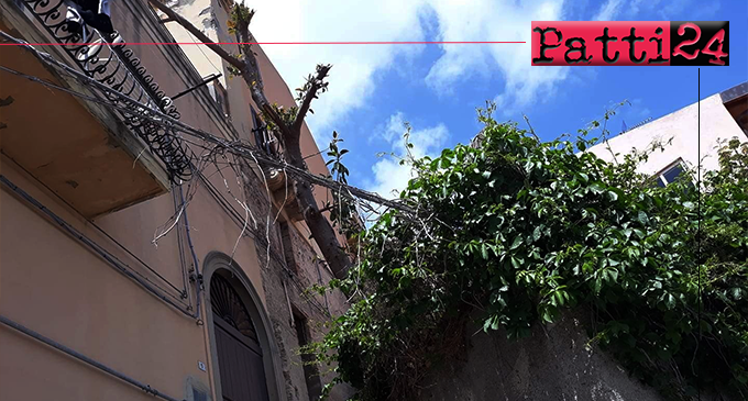 PATTI – Quartiere San Michele. Cavi elettrici dall’edera di un rudere con cui formano un vero groviglio fin sotto i balconi delle abitazioni.