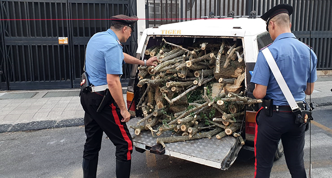 MESSINA – Rubavano legna in area boschiva. Arrestati padre e figlio.