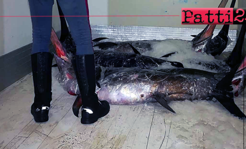 BARCELLONA P.G. – Sequestrati 950 Kg di pesce in cattivo stato di conservazione A Barcellona P.G. e Milazzo