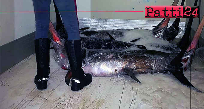 BARCELLONA P.G. – Sequestrati 950 Kg di pesce in cattivo stato di conservazione A Barcellona P.G. e Milazzo