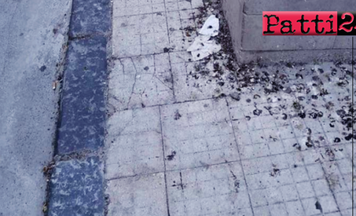 PATTI – “Tappeti” di escrementi di volatili sui marciapiedi. Nessuno provvede alla pulizia.