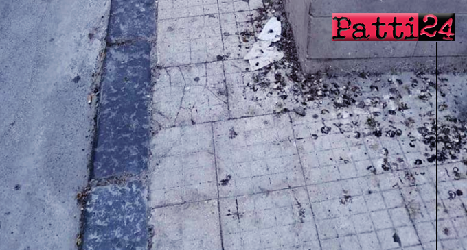 PATTI – “Tappeti” di escrementi di volatili sui marciapiedi. Nessuno provvede alla pulizia.