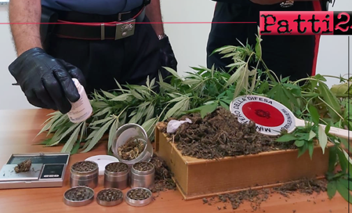 BROLO – Coltivava in casa della marijuana. Arrestato 38enne