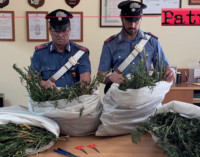 CESARO’ – Oltre 10 Kg di marijuana in un casolare. 3 arresti.