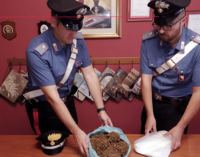 MESSINA – Getta oltre un 1Kg di marijuana oltre la siepe e tenta la fuga. Due arresti.
