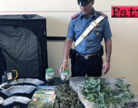 SAN PIER NICETO – Deteneva marijuana e coltivava in casa piante di canapa. Arrestato 26enne