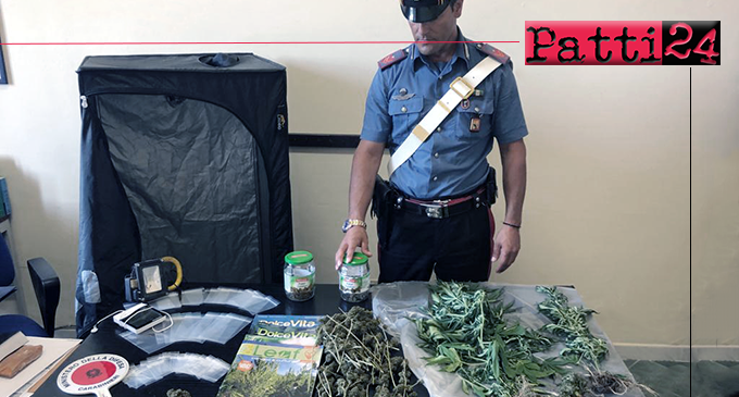 SAN PIER NICETO – Deteneva marijuana e coltivava in casa piante di canapa. Arrestato 26enne