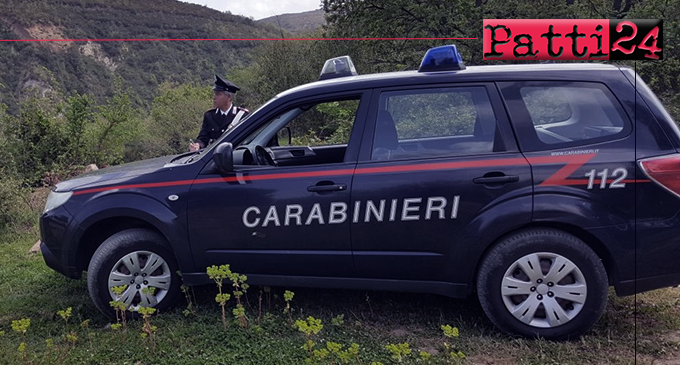 MISTRETTA – 4 denunciati per furto di legna nel parco dei Nebrodi e violazione norme contro la diffusione del Corona virus