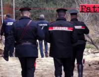 CESARO’ – Denunciati i titolari di 2 aziende zootecniche e sequestrati 48 capi di bestiame.