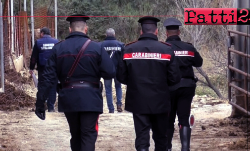CESARO’ – Denunciati i titolari di 2 aziende zootecniche e sequestrati 48 capi di bestiame.