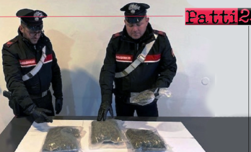 TORRENOVA – Sfuggono all’alt, si scontrano con auto e impattano contro albero. In auto 1 kg di marijuana, 2 arresti