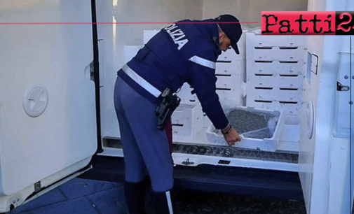 MESSINA – Sequestrati oltre 1.100 Kg di novellame di sarda. Sanzioni per oltre 38.000 euro