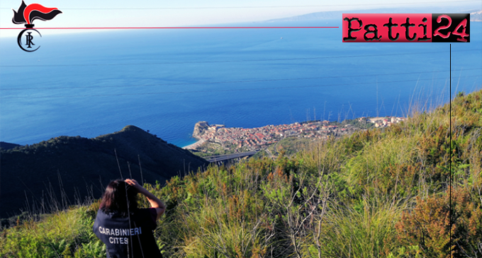 MESSINA – Operazione Adorno. I Carabinieri Forestali presidiano lo Stretto di Messina, corridoio della migrazione degli uccelli.