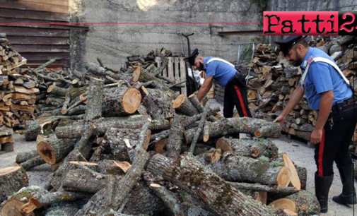 MISTRETTA – Tentano di rubare legna in area boschiva demaniale per rivenderla. 2 arresti