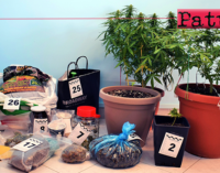CAPO D’ORLANDO – Aveva disposto piante di cannabis in balcone. Arrestato 52enne