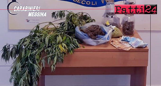 TERME VIGLIATORE -Coltivava marijuana in casa. Arrestato 32enne