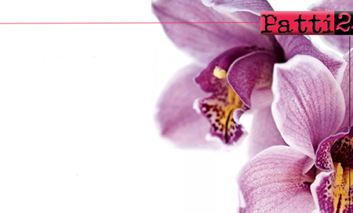 PATTI – Sabato e domenica “L’orchidea dell’Unicef”