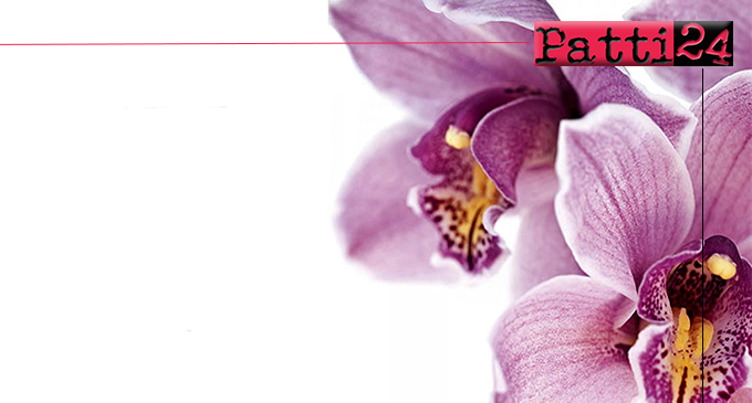 PATTI – Sabato e domenica “L’orchidea dell’Unicef”