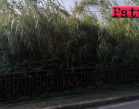PATTI – Terreni incolti adiacenti la via Monsignor Angelo Ficarra. Ordinanza pulizia e discerbamento