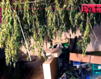 MESSINA – Sequestrati 8 chili di marijuana. Arrestata 31enne.