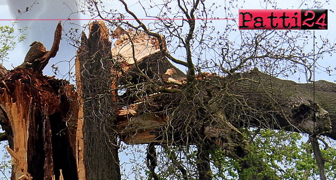PATTI – Manutenzione alberi colpiti delle avversità atmosferiche