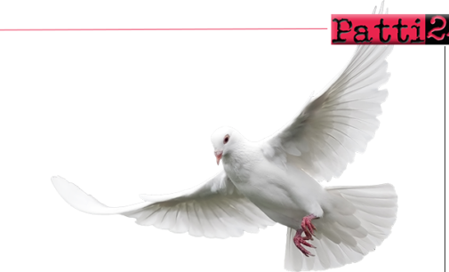 PATTI – La Giornata della pace dell’Azione Cattolica Ragazzi della diocesi