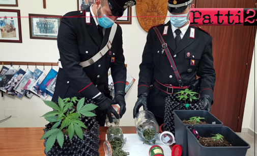 GAGGI – Serra per cannabis in casa. Arrestato giovane con “l’hobby del giardinaggio”.