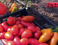 PATTI – Gli allievi dell’Istituto Tecnico Agrario donano i prodotti della terra a chi ha bisogno.