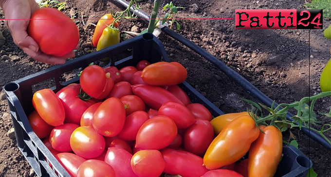 PATTI – Gli allievi dell’Istituto Tecnico Agrario donano i prodotti della terra a chi ha bisogno.