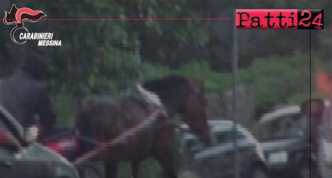 MESSINA – Corse clandestine di cavalli sul viale Giostra. Tre denunciati