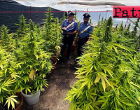 SAN FILIPPO DEL MELA – Scoperta  piantagione di cannabis indica. Arrestato 25enne
